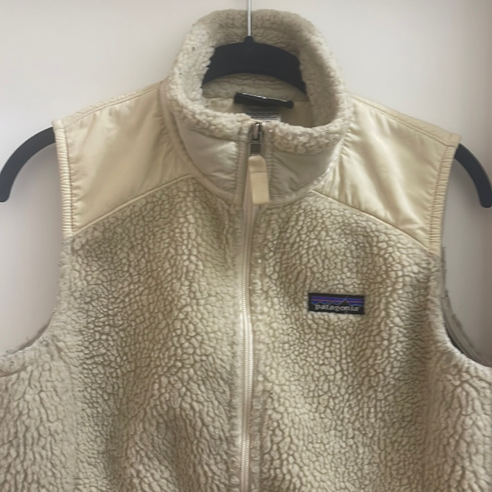Patagonia Synchilla Fleece Vest